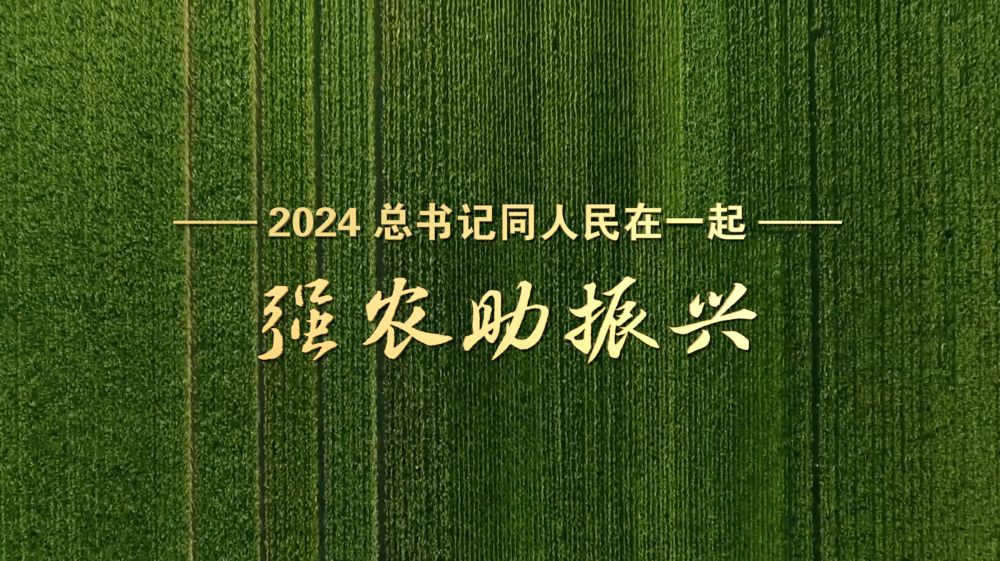 202412230a99a2b35fea41cfa605d27269fb17b1_20241223f3417fdc8e584e2a8fcedbed4822a36a.png